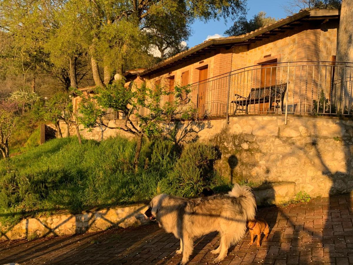 Setterhouseagrihotel Треви Экстерьер фото